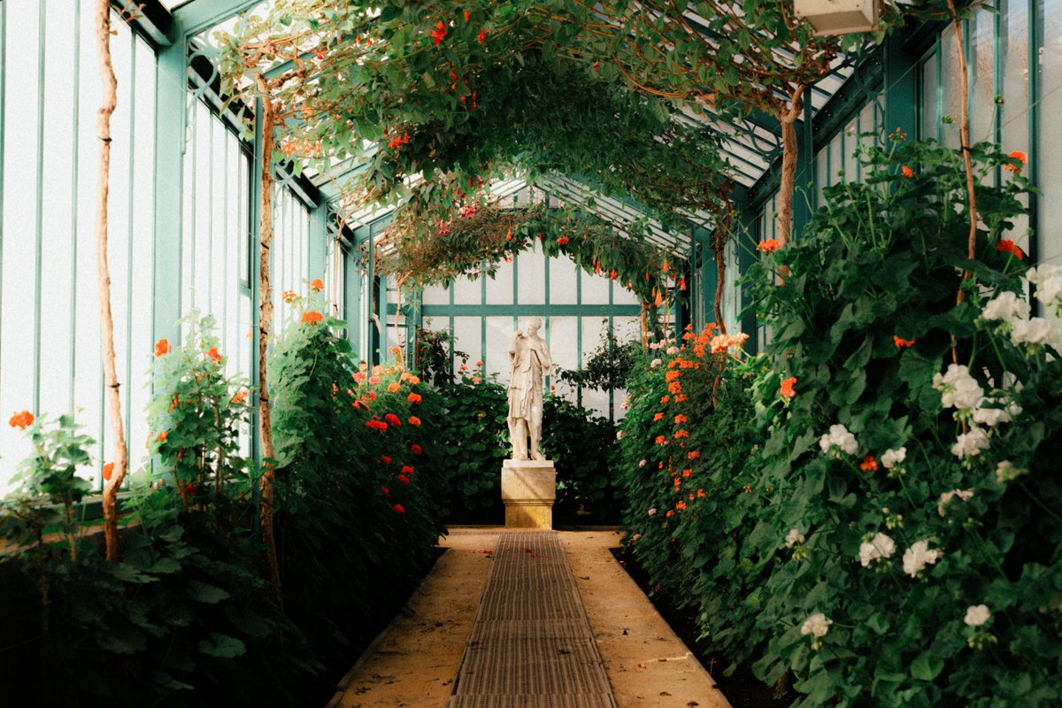 Belgian Royal Palace tweet media