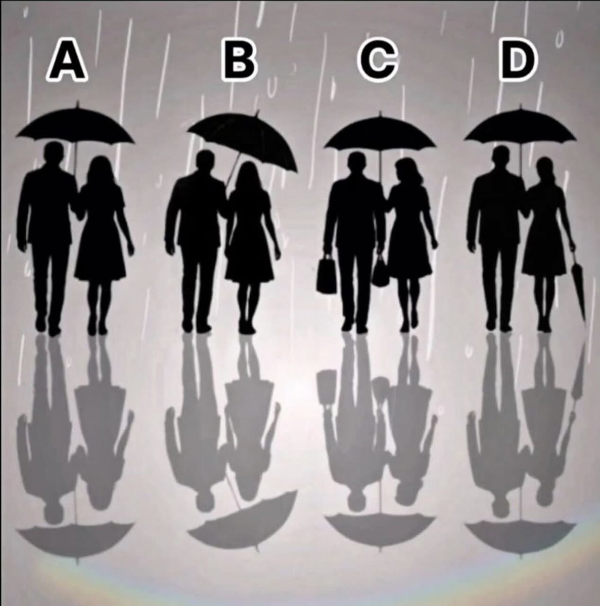 호물이🐯 tweet media