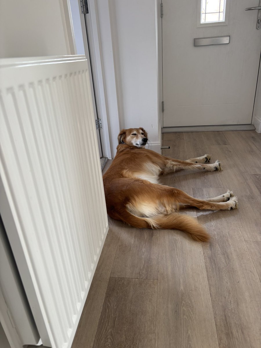 Claire L Meadows MA 🖋️ tweet media