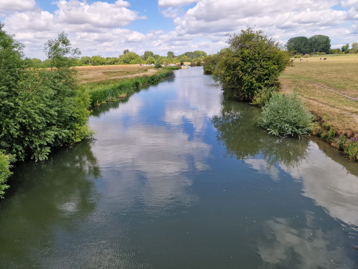 What Good News tweet media