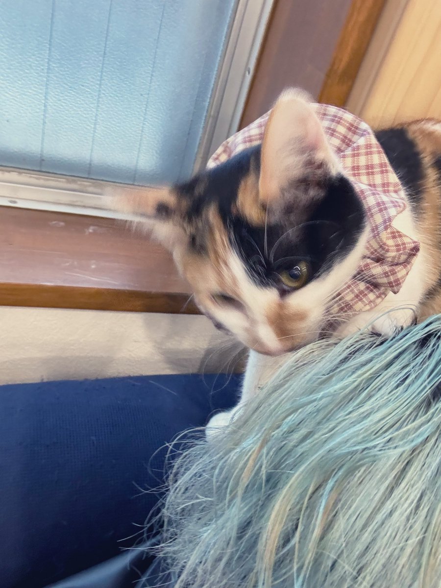 ミキ𓎡𓄿𓅓𓇌𓋴𓄿𓅓𓄿 tweet media