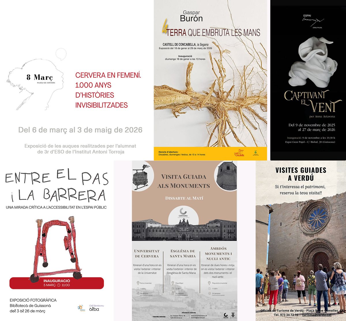 Som Segarra tweet media