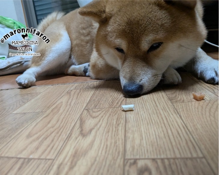 狙いを定めてる