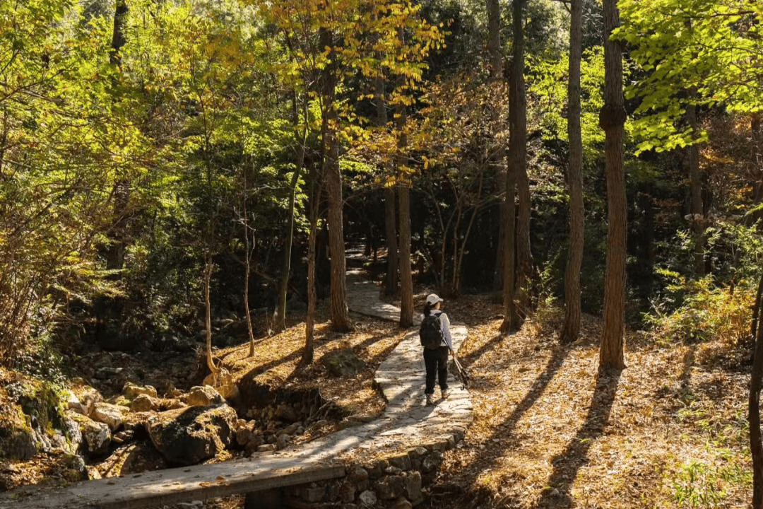 Hirak Chaudhuri tweet media