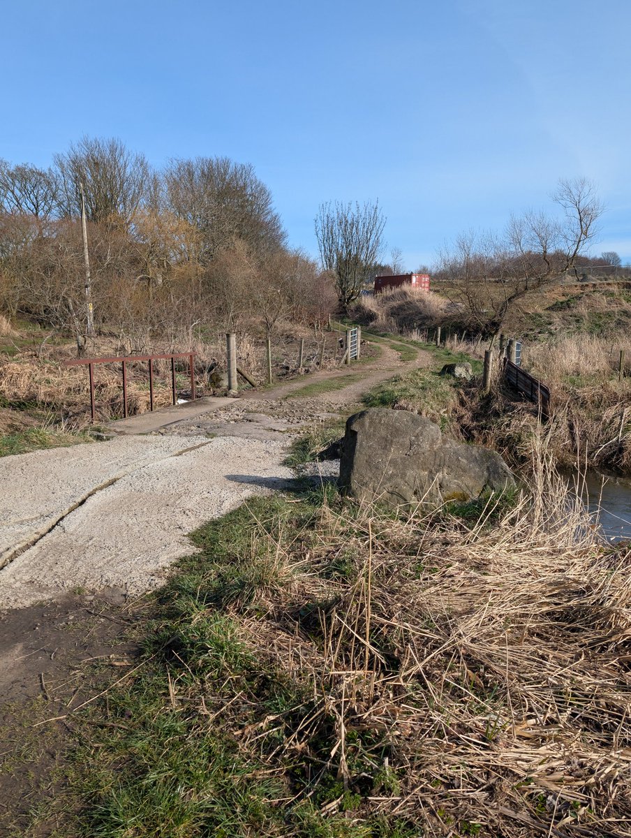 Doodahdog tweet media