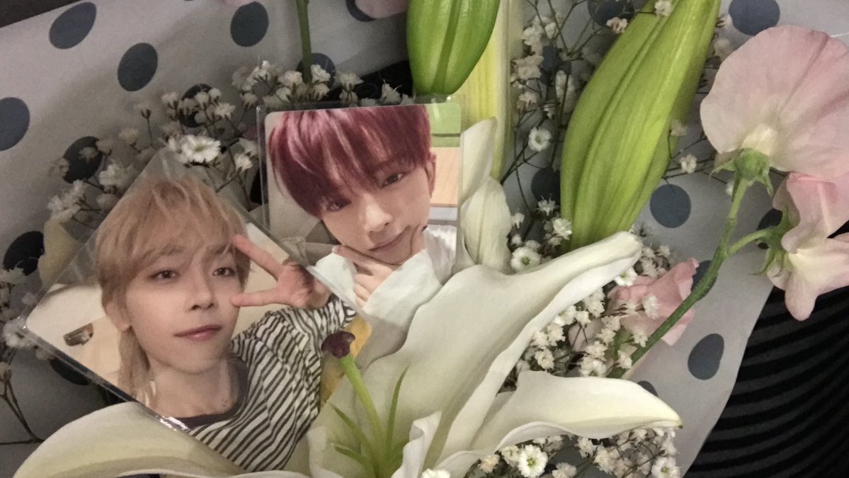 たまご tweet media