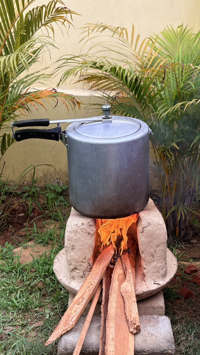 The Protagonist tweet media