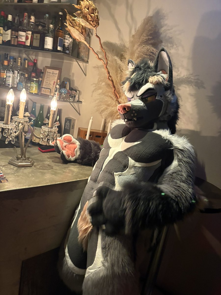 たくまる🐾🔜?🔜OFFF tweet media