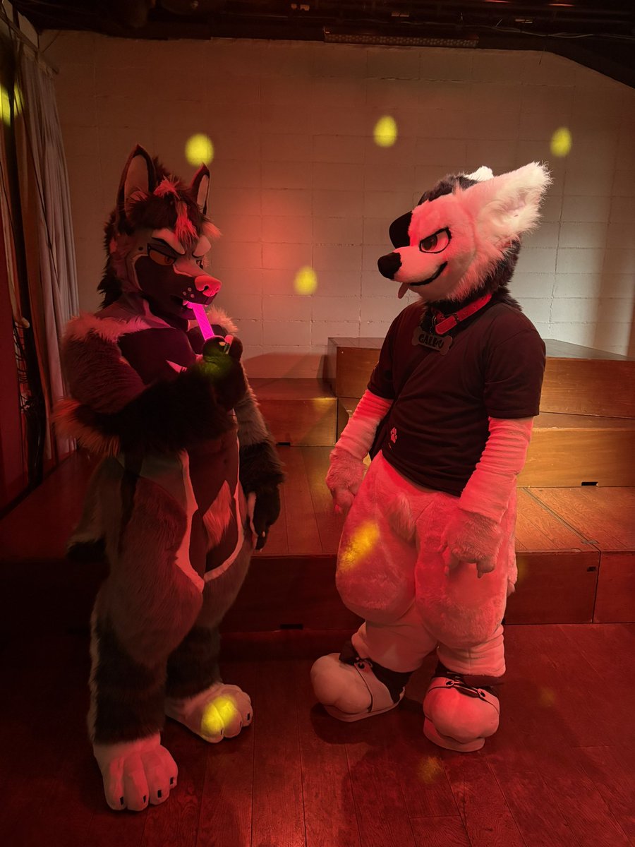 たくまる🐾🔜?🔜OFFF tweet media