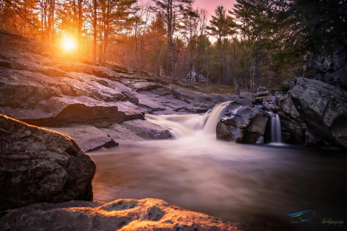 Granite Stater 🇺🇸 tweet media