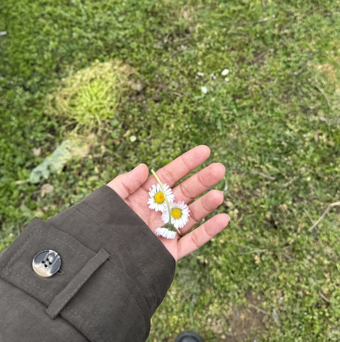 busilera tweet media