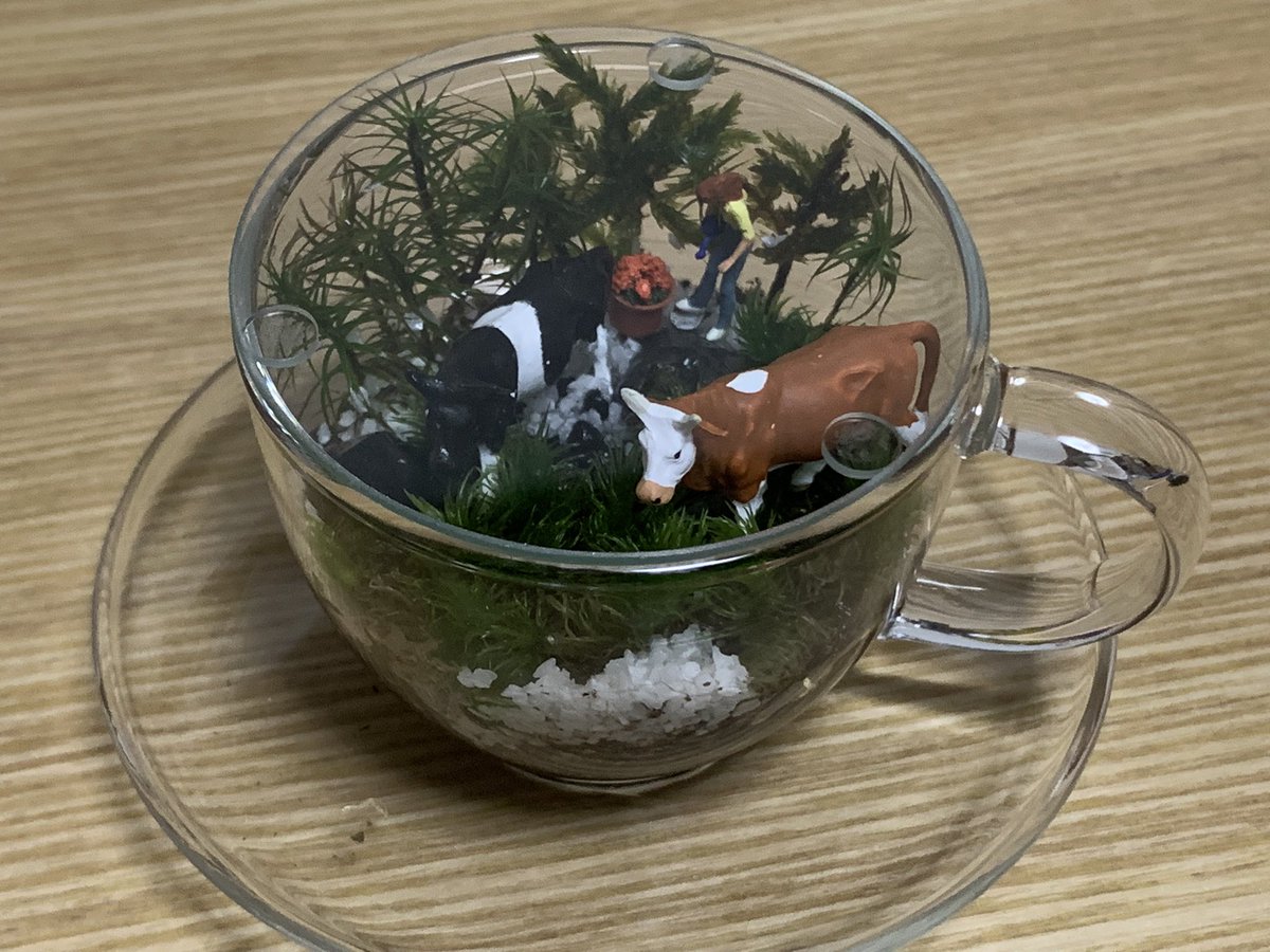 ushitaro13's tweet photo. 初めての苔テラリウム🐄🔰 https://t.co/MSUe6ACOfv