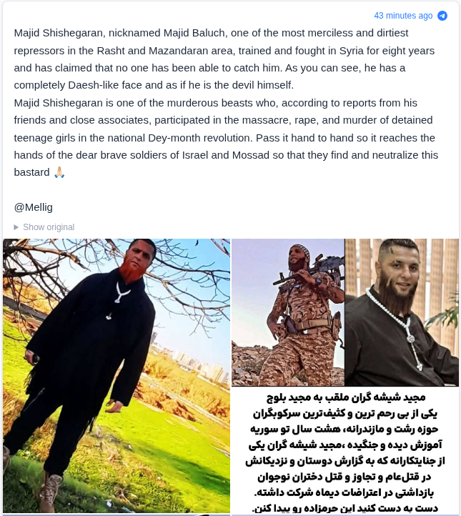 Kian 🇮🇷 🇨🇦 🇳🇱 tweet media