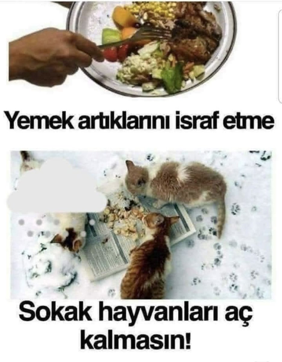 SELÇUK B.BERBEROĞLU tweet media