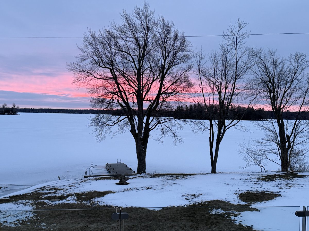 alan drummond tweet media