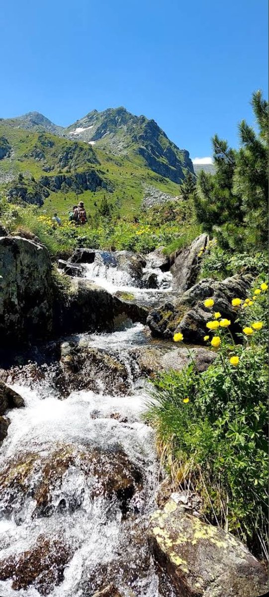 milosma61260957's tweet photo. Šar Planina, Kosovo-Metohija, Srbija. 1/4 https://t.co/14KHIjlooe