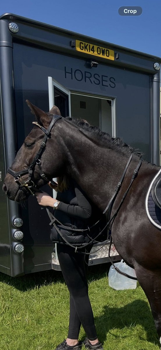 Pawprints Dog Rescue (UK) tweet media