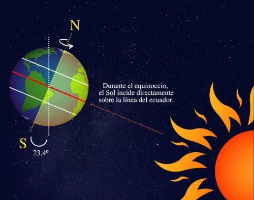 Majo 🍄 tweet media