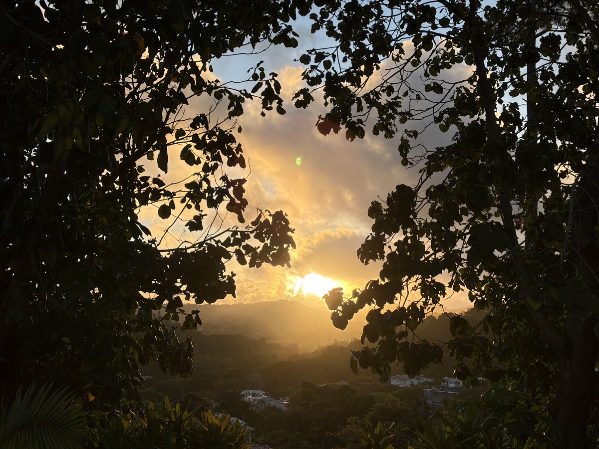 PrattsN's tweet photo. @DeborahTiempo @adamonzon @SLopezTiempo @manuelcrespotv @carlosomartv    @Carlostoletv y amig@s: ¡Bd! Desde mi pedacito de cielo en Aibonito, 🇵🇷. https://t.co/5gSvvG2EDf