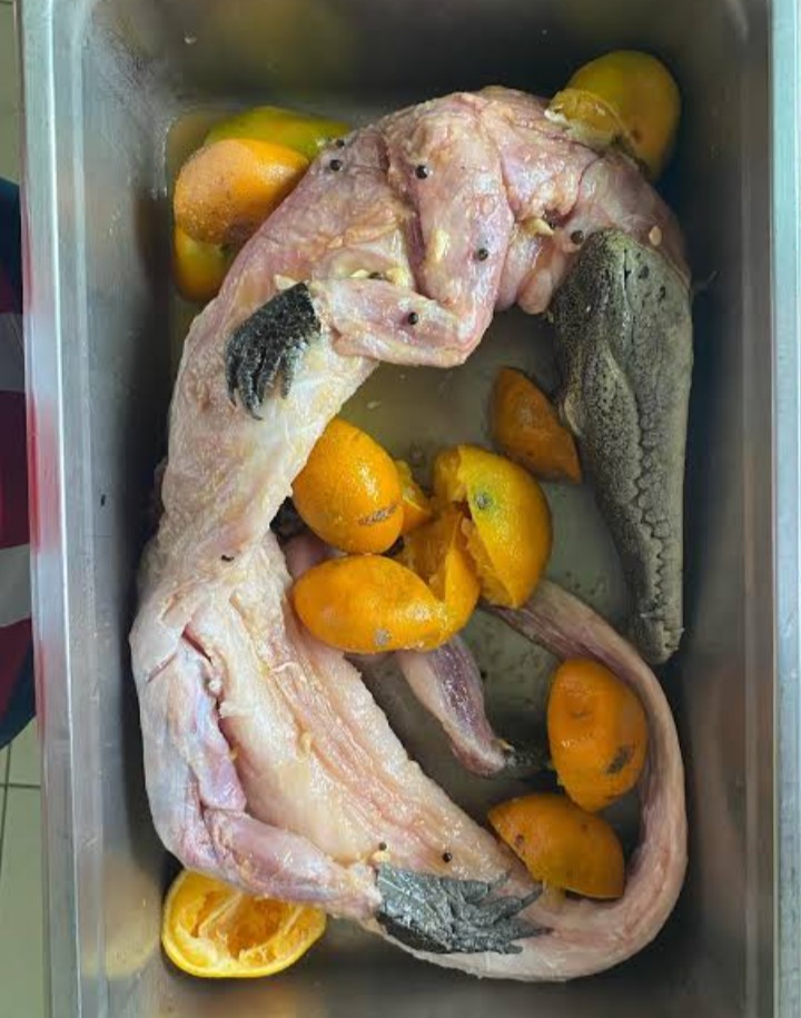 Retired Average Saïd Mohammedi Enjoyer ⵣ۞🏴🏳️ tweet media