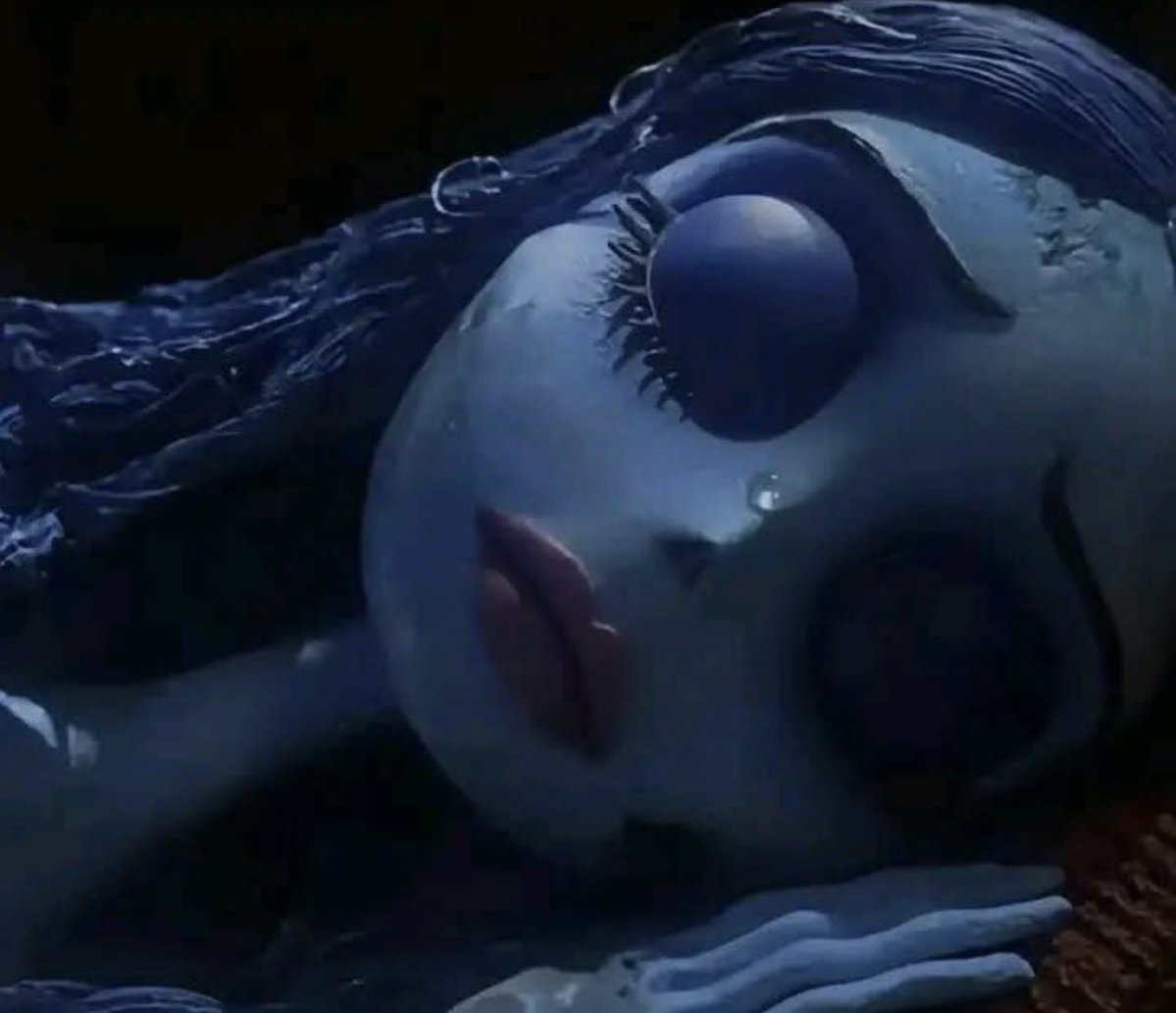 citation.roudou tweet media