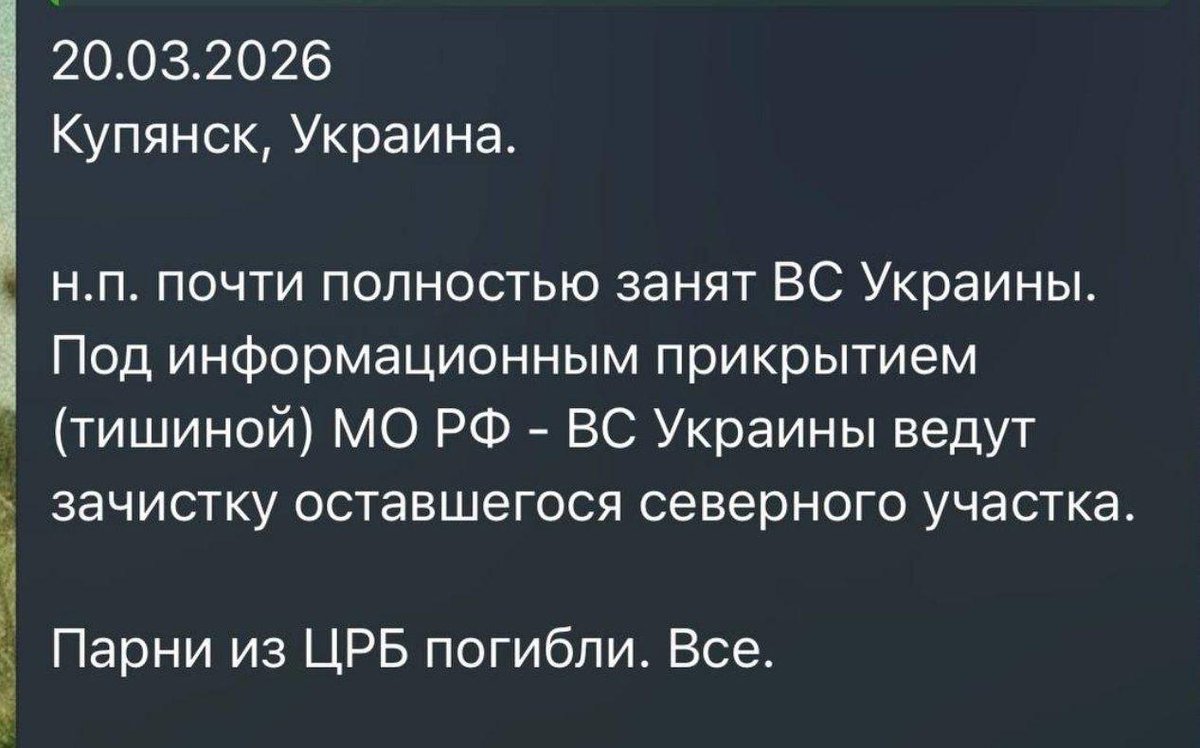 Митяй tweet media