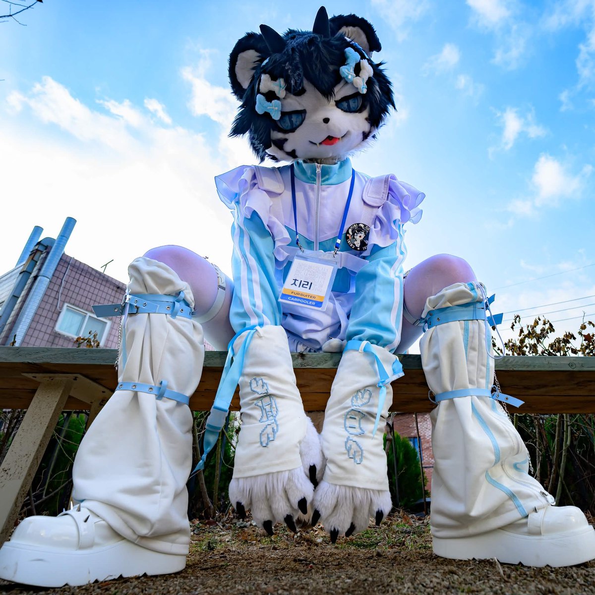 치리𓃮𓃮𓃮 tweet media