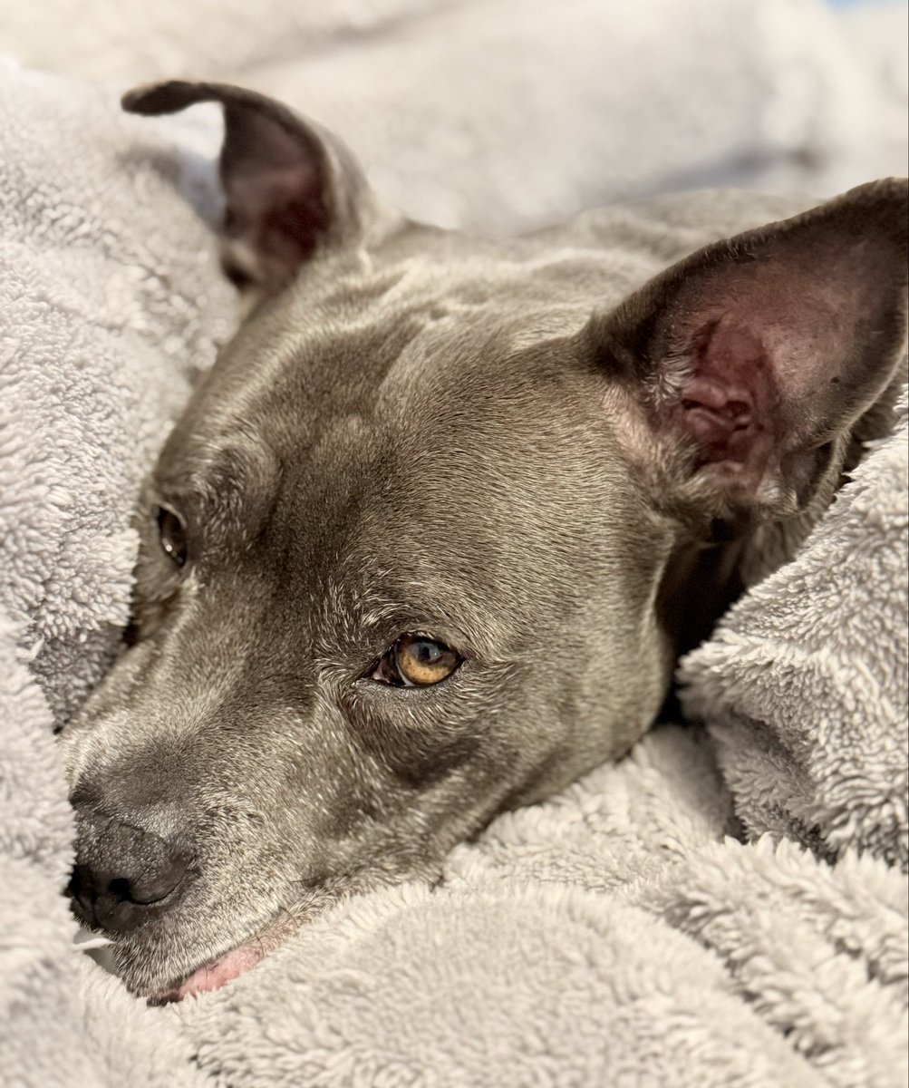 Isa Mary tweet media