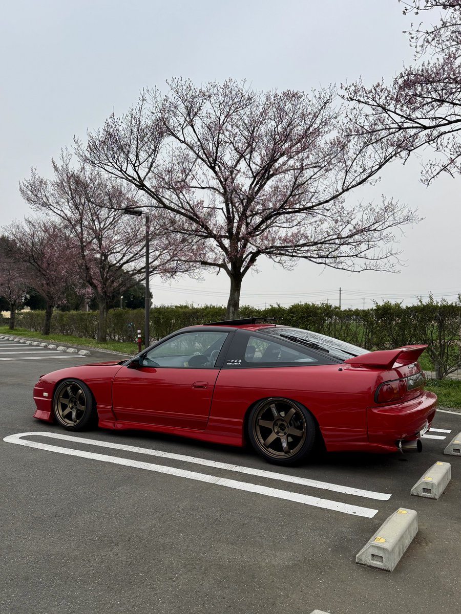 amro2000686's tweet photo. 祝日出勤
帰りに桜の様子を見に行ったけど流石に早すぎた https://t.co/yORR3ieUGg