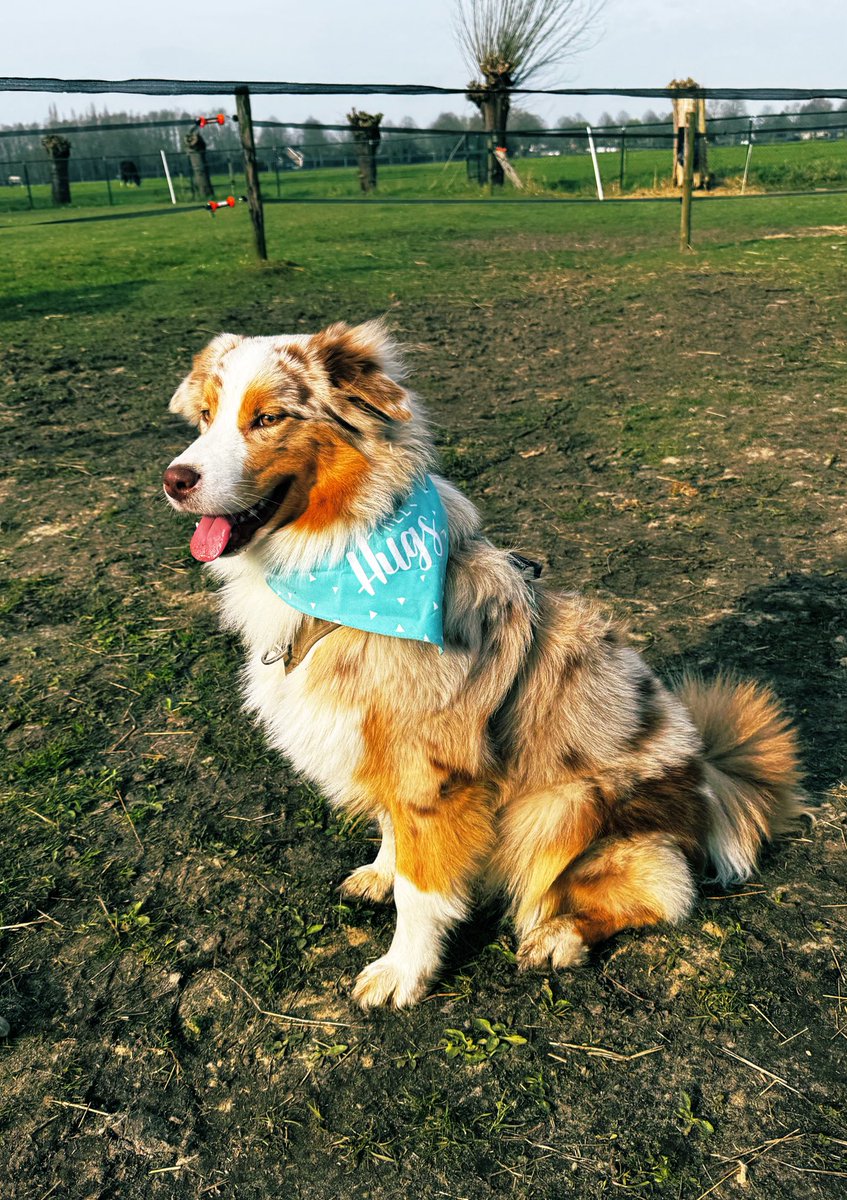 ๐
ข๐
๐
๐
ก๐
๐
๐
tweet media