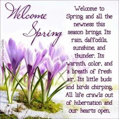 baacktheblue's tweet photo. Spring blessings to you and your family…🙏💜✝️
#SpringBlessings https://t.co/5g7EEdKGT3