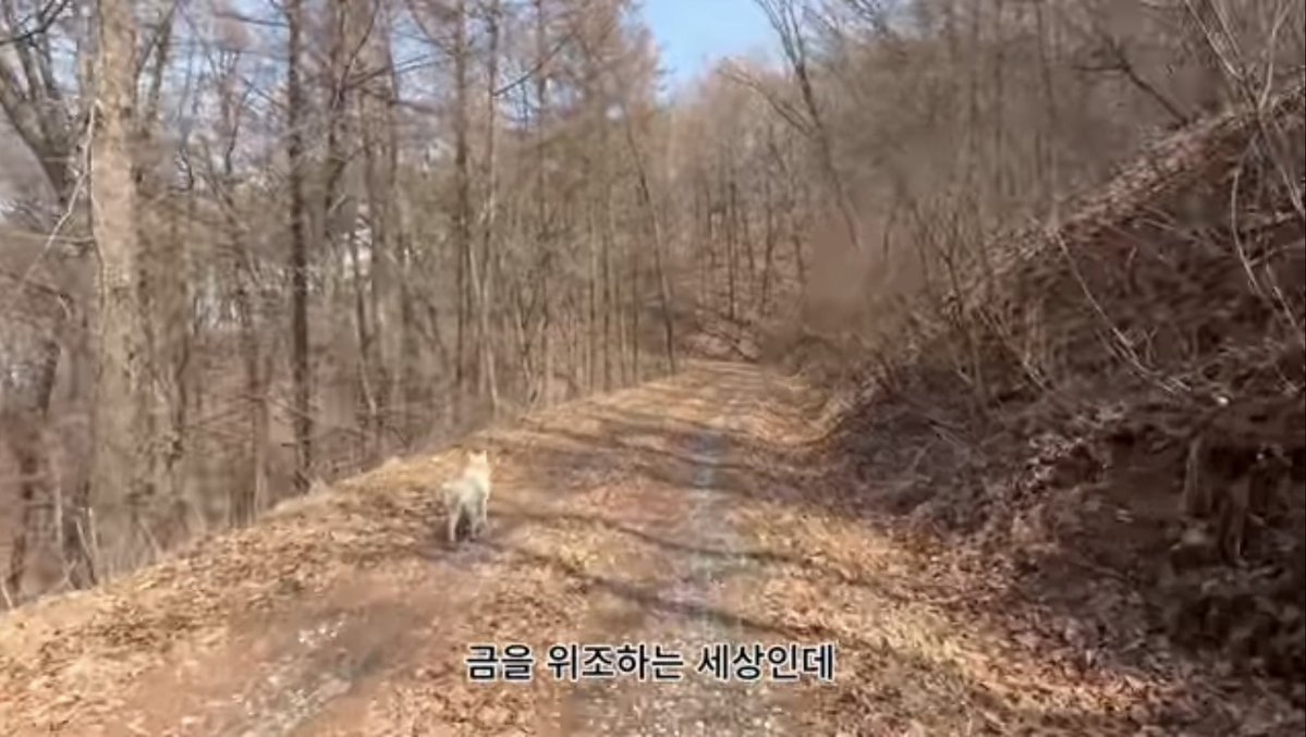 하워드🍟⚡️ tweet media