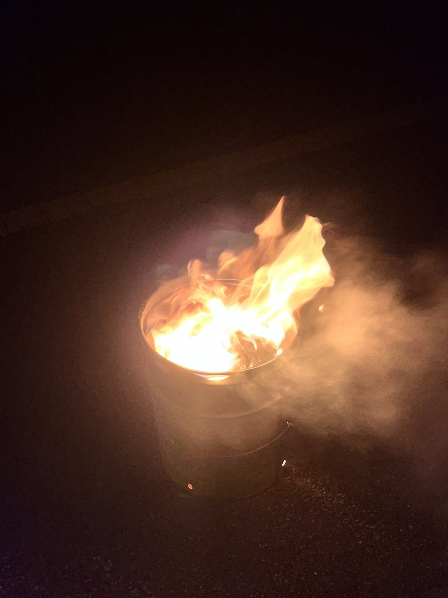 モンキー⭐︎ヒロタン tweet media