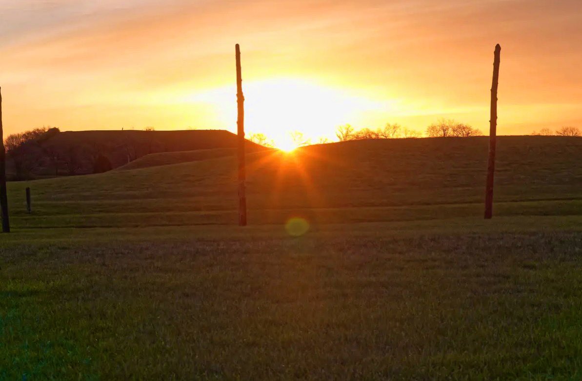 MoundLore tweet media