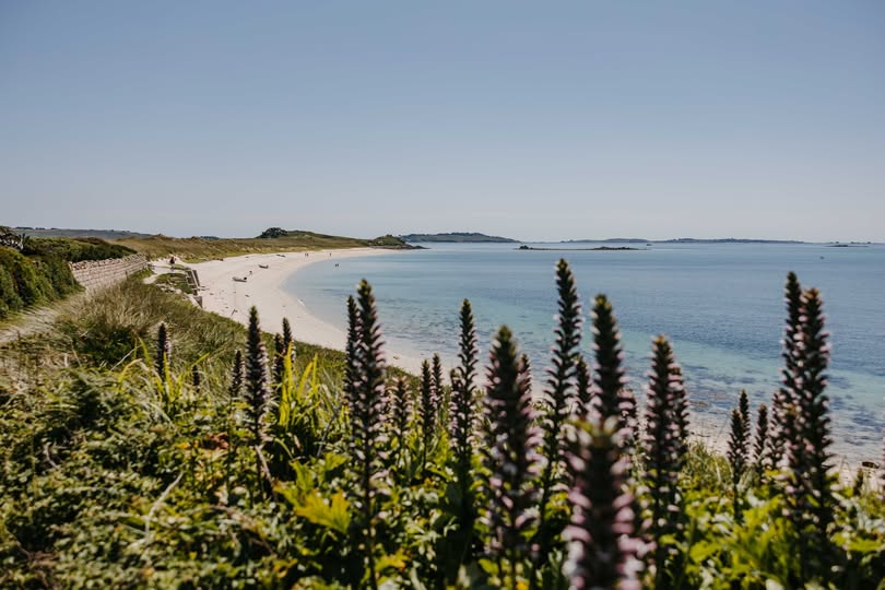 IOSTravel's tweet image. The Spring Equinox is here 🌸 Longer days, lighter evenings and Scilly at its most beautiful.

Narcissi's in bloom &amp;amp; Tresco bursting into life.

Easter &amp;amp; bank holidays ahead- bool now![islesofscilly-travel.co.uk]()

#IOSTravel #SpringEquinox #UKTravel