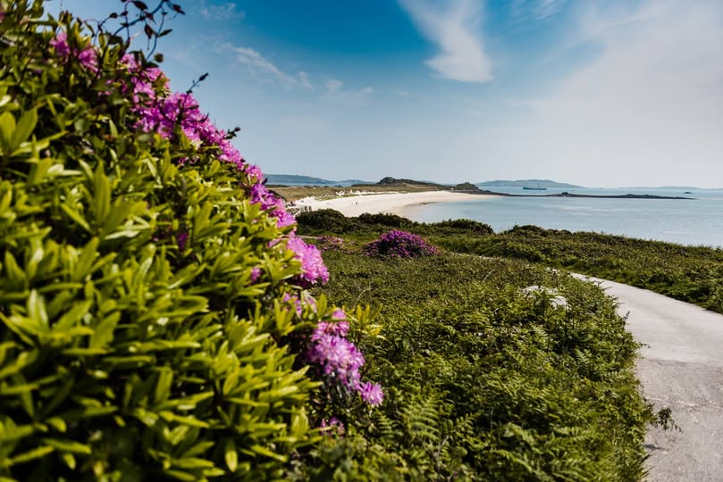 IOSTravel's tweet image. The Spring Equinox is here 🌸 Longer days, lighter evenings and Scilly at its most beautiful.

Narcissi's in bloom &amp;amp; Tresco bursting into life.

Easter &amp;amp; bank holidays ahead- bool now![islesofscilly-travel.co.uk]()

#IOSTravel #SpringEquinox #UKTravel