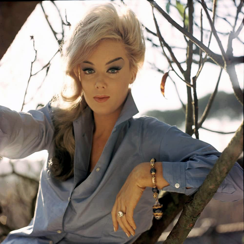 Silver Screen Goddes tweet media