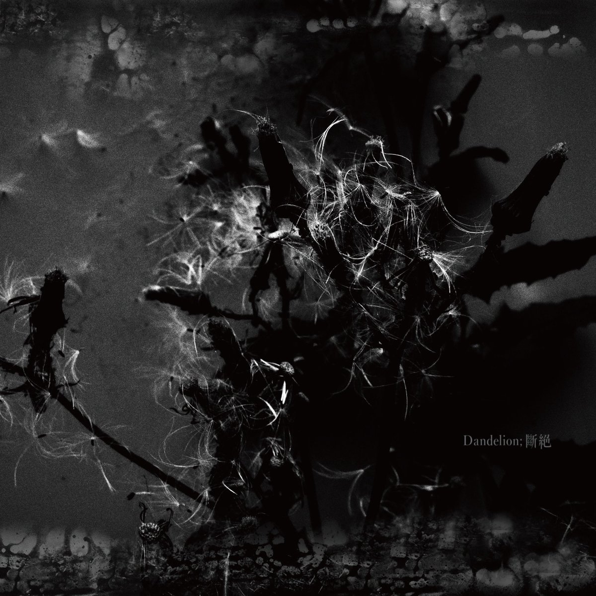 Madmans Esprit tweet media