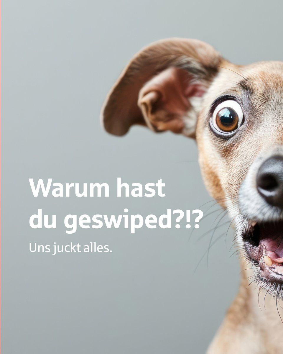 Vereinigte Sparkasse im Märkischen Kreis tweet media