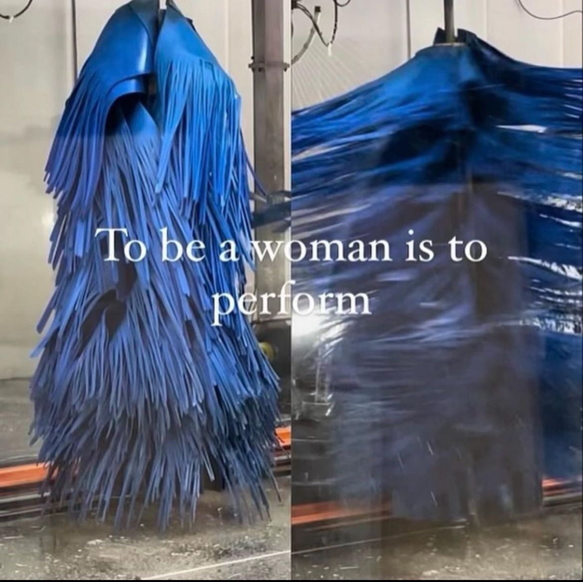 horse dentist tweet media