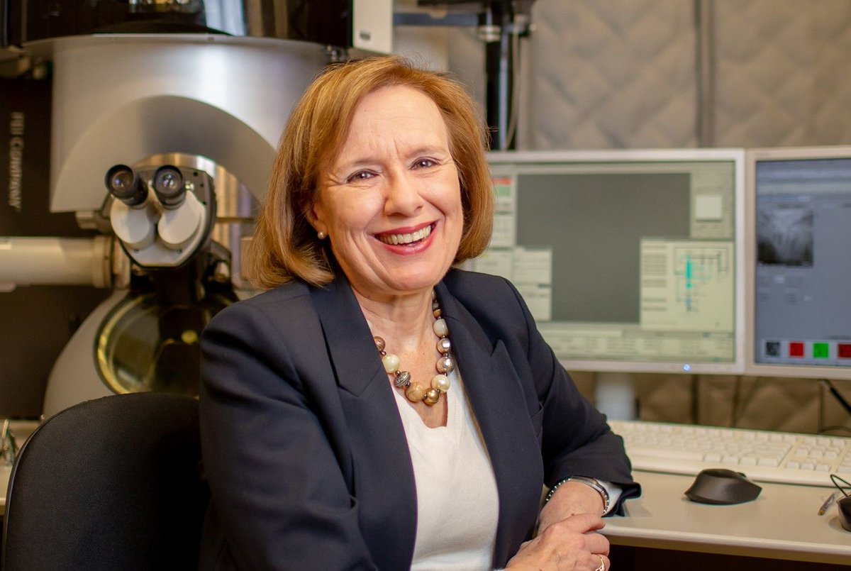 Protochips tweet media