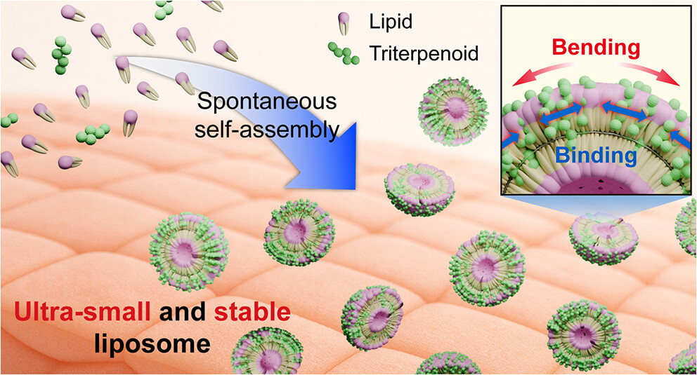 ACS Nano tweet media