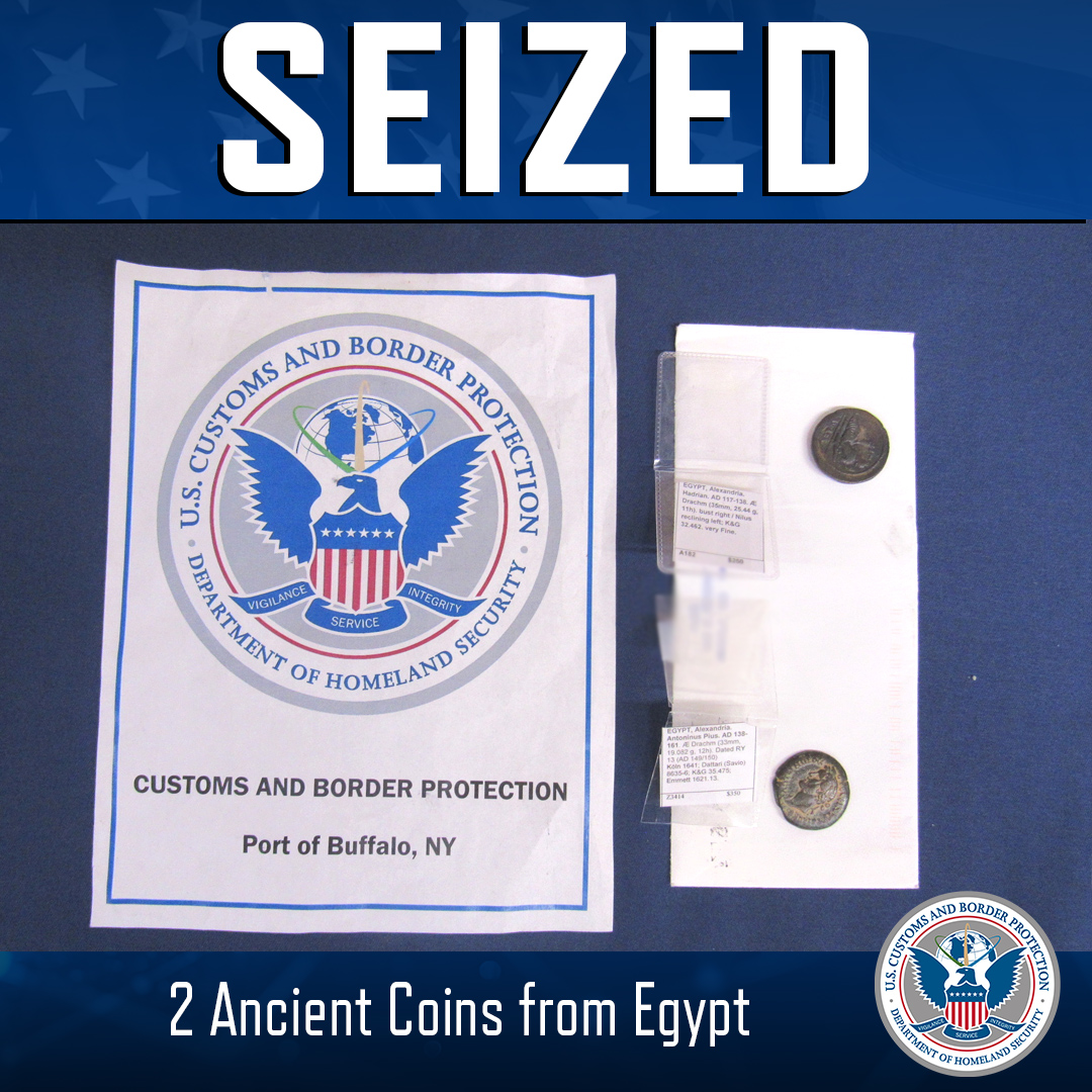 Buffalo DFO Rose Brophy tweet media