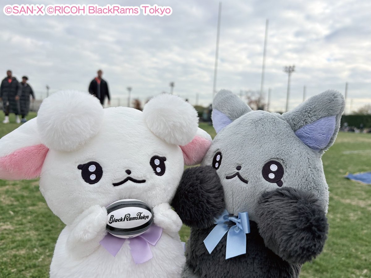 ちあちあラムズ【公式】 tweet media