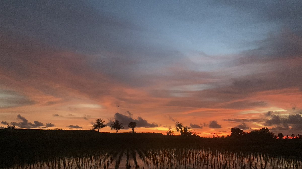 Nity OPEN🐟 tweet media