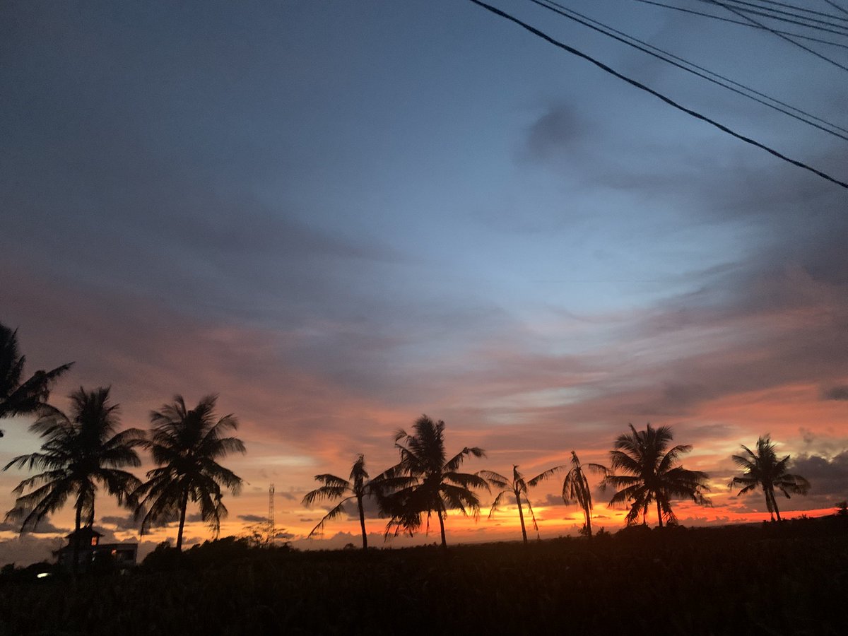 Nity OPEN🐟 tweet media