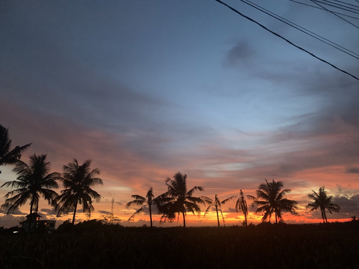 Nity OPEN🐟 tweet media