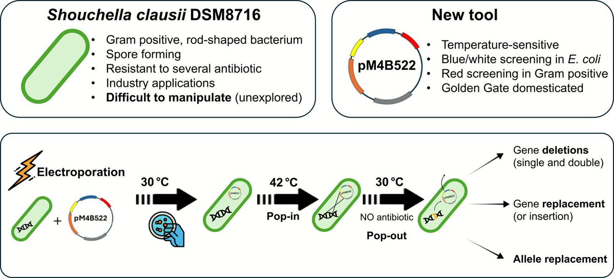Microbial Biotechnology (MBT) tweet media