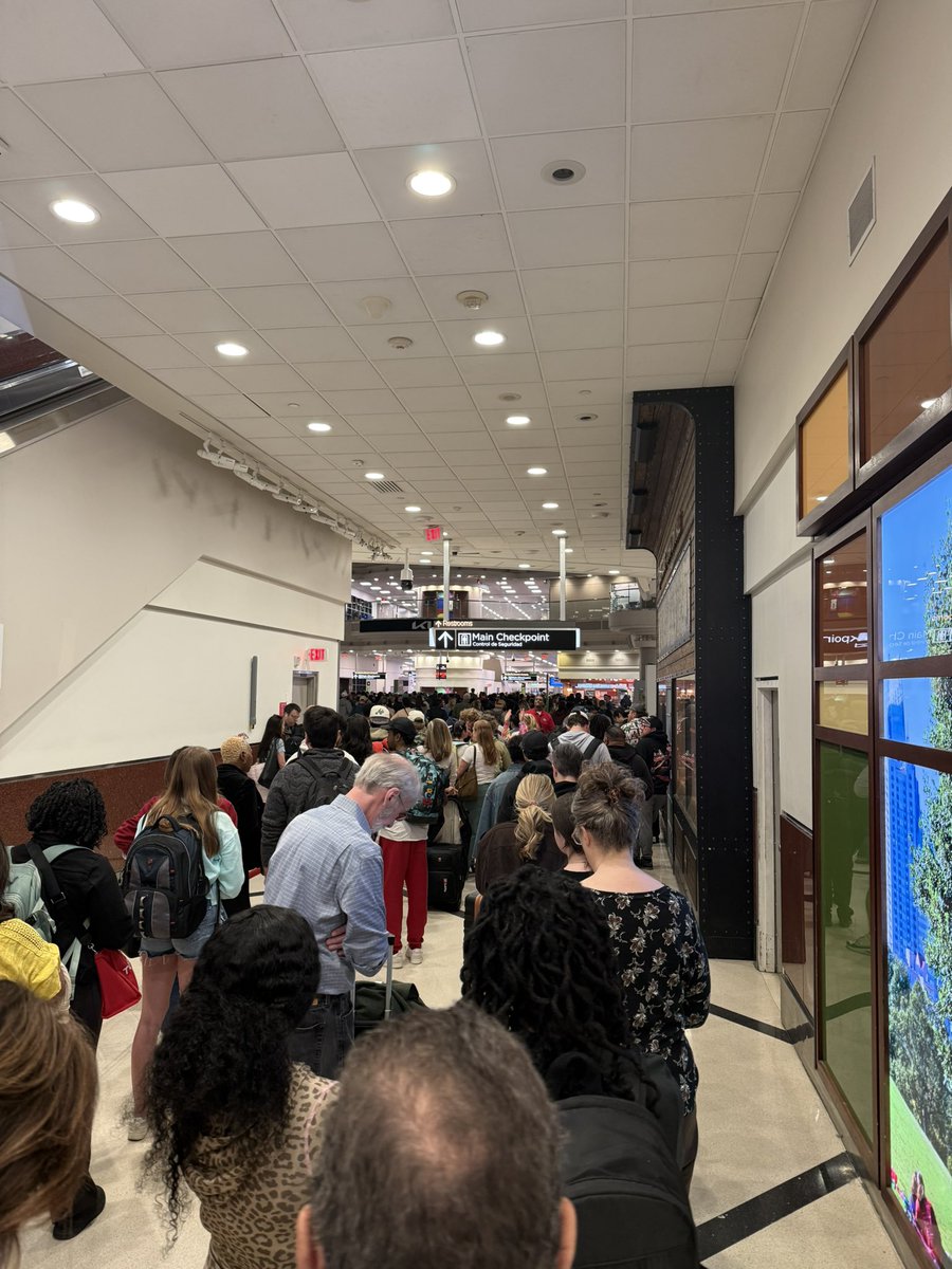 Meghan L. Hall tweet media