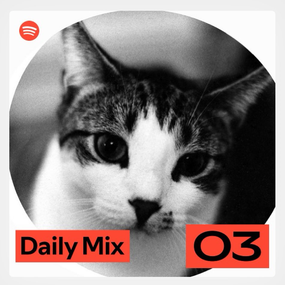 alexandra 💿🫧 tweet media